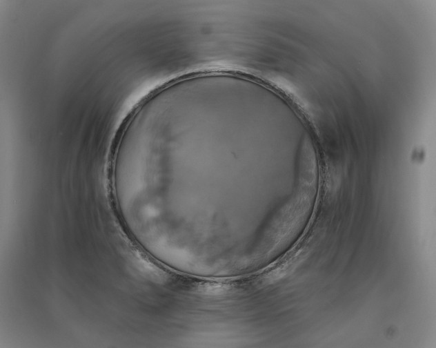 X0000091351278200708171423