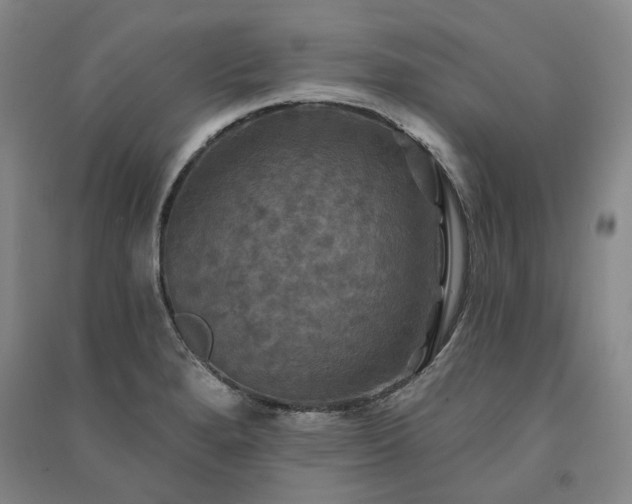 X0000091351280200708171423