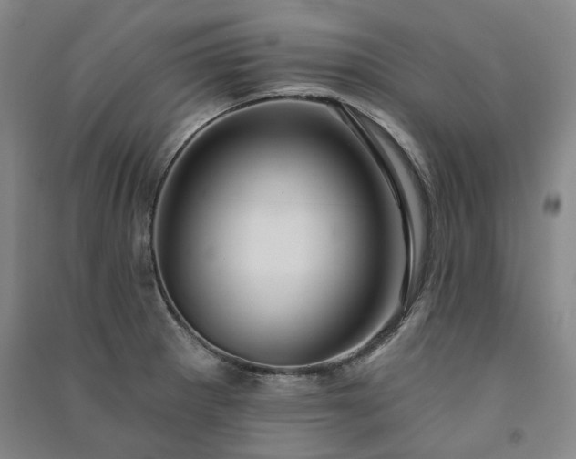 X0000091351281200708171423