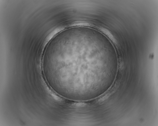 X0000091351282200708171423