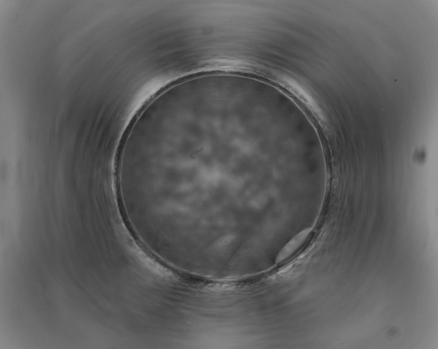 X0000091351283200708171423