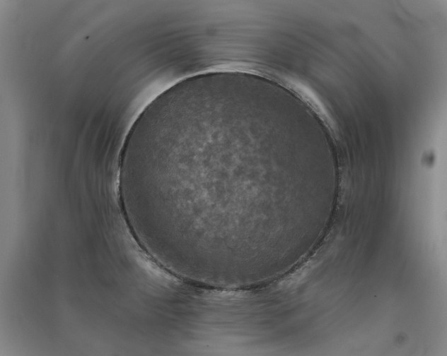 X0000091351284200708171423