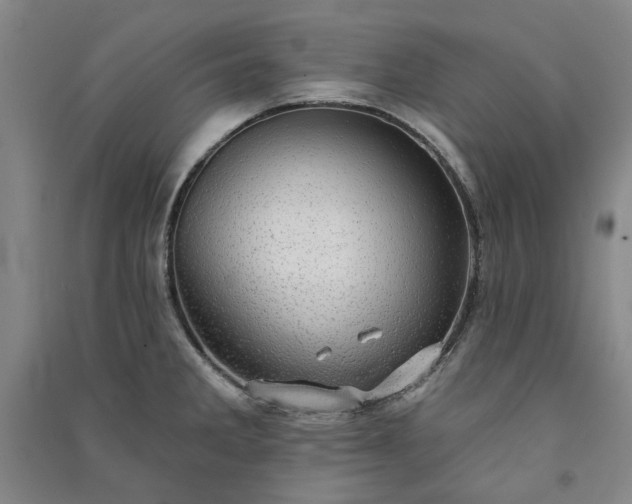 X0000091351285200708171423