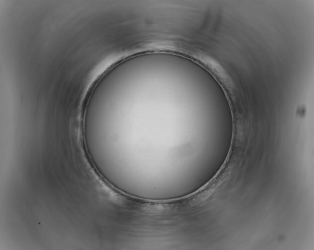 X0000091351286200708171423