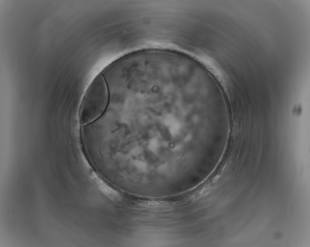 X0000091351287200708171423