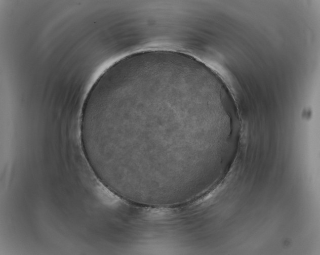 X0000091351288200708171423