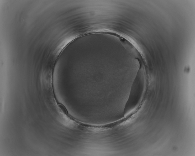 X0000091351289200708171423