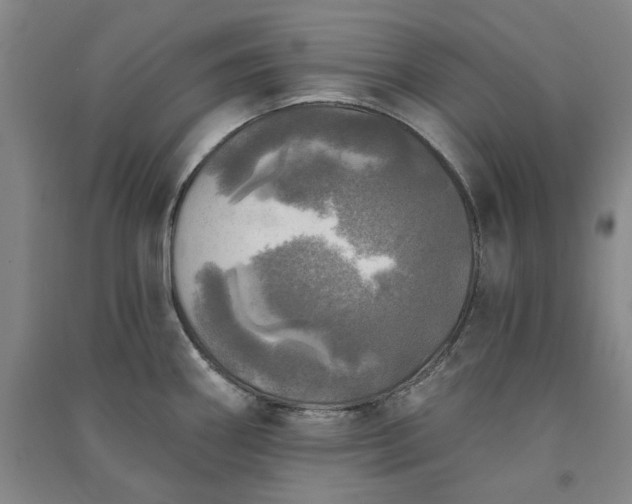 X0000091351290200708171423