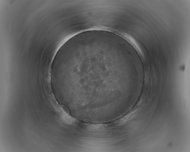 X0000091351292200708171423