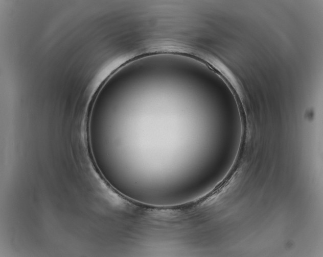 X0000091351293200708171423