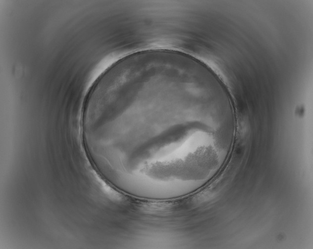 X0000091351294200708171423