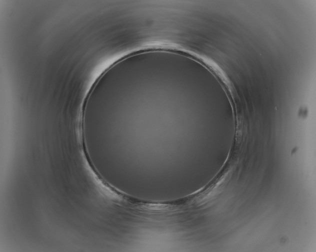 X0000091351295200708171423