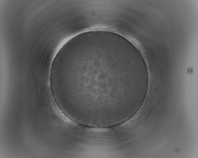X0000091351296200708171423