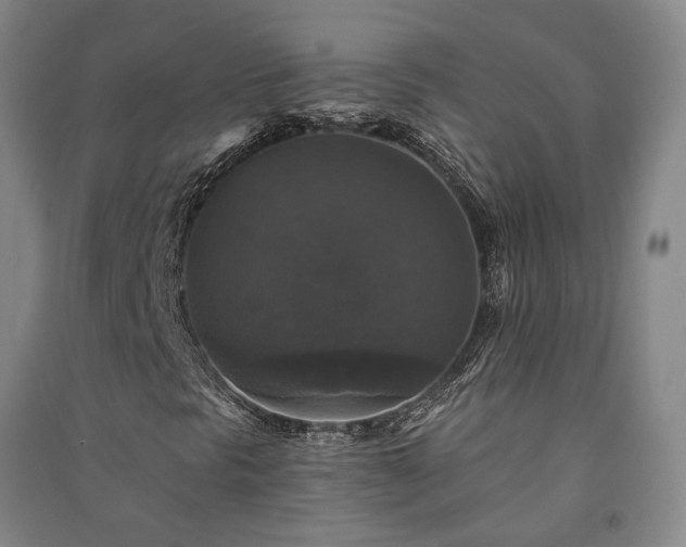 X0000091351297200708171422
