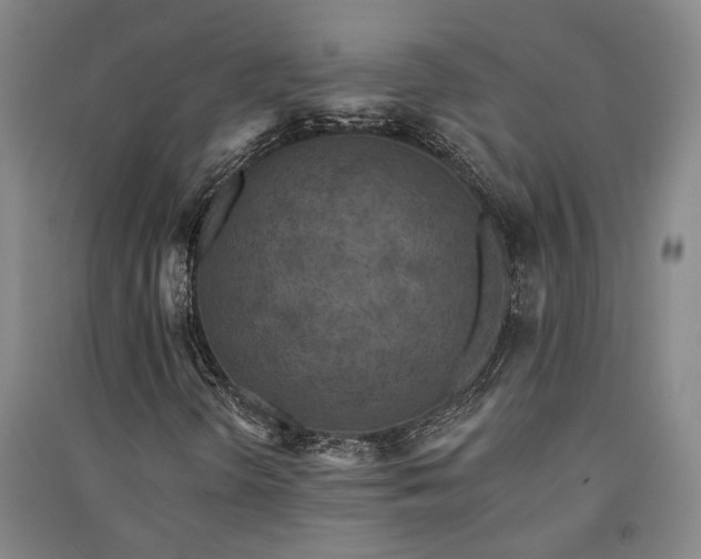 X0000091351298200708171422