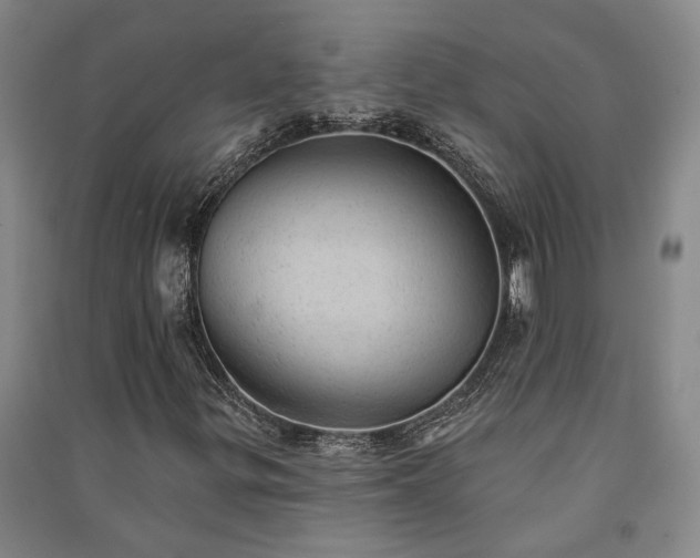 X0000091351299200708171422