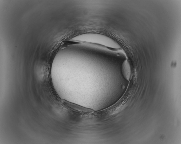 X0000091351300200708171422