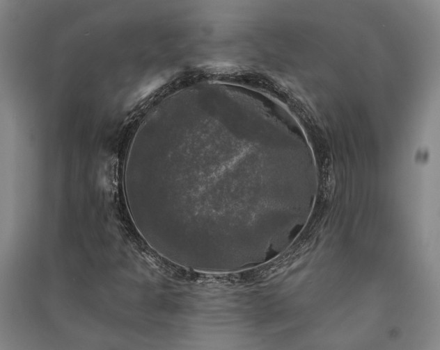 X0000091351301200708171422