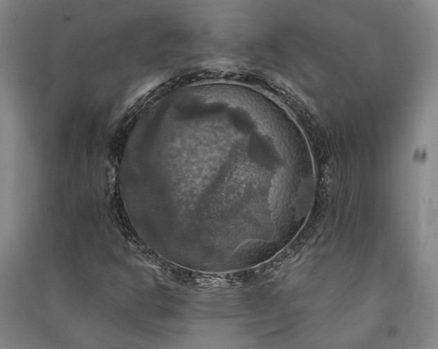 X0000091351302200708171422