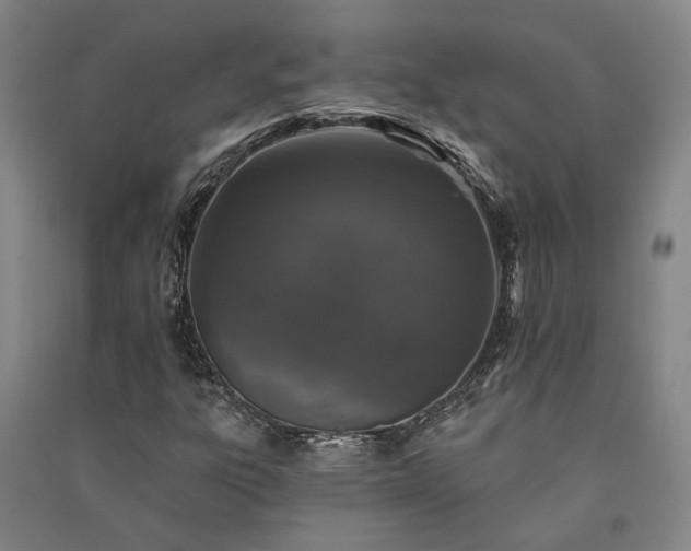 X0000091351303200708171422