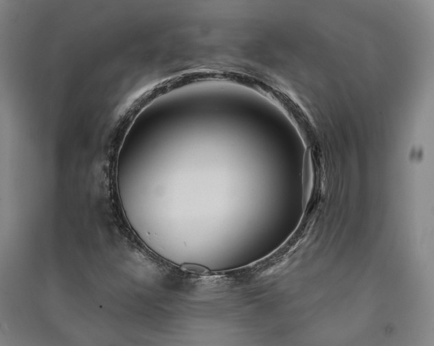 X0000091351304200708171422