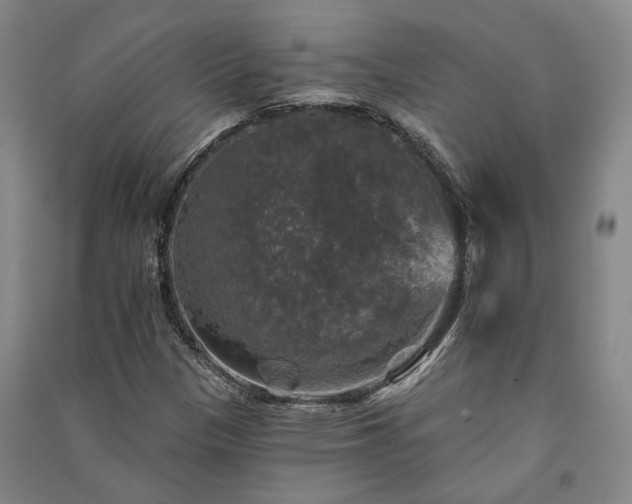 X0000091351305200708171423