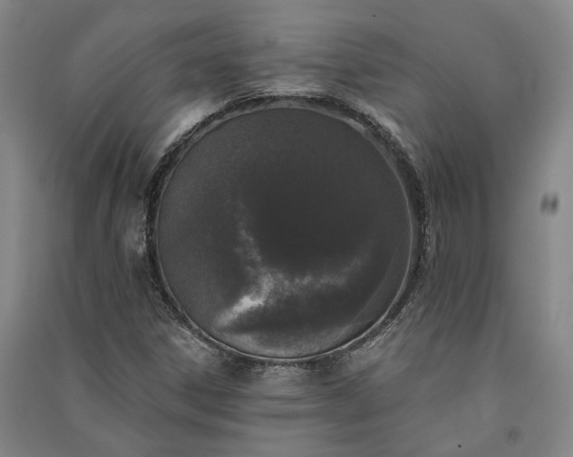 X0000091351306200708171423