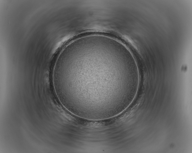 X0000091351307200708171423