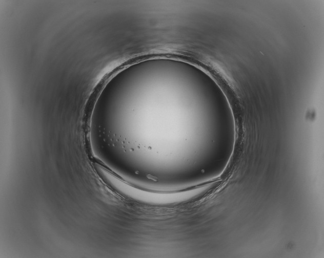 X0000091351308200708171423