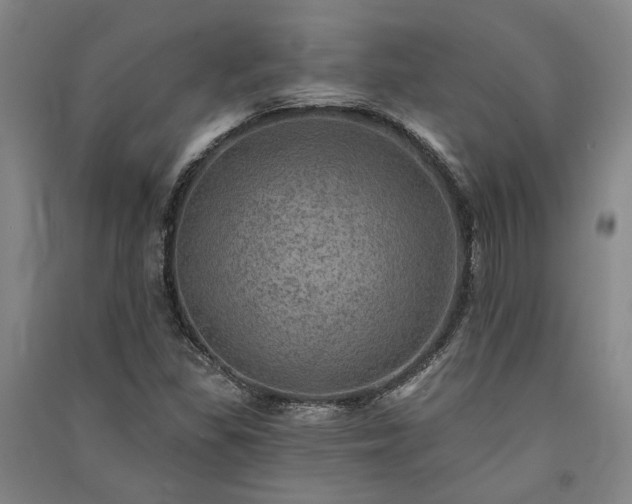 X0000091351309200708171423