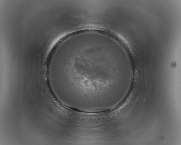 X0000091351310200708171423