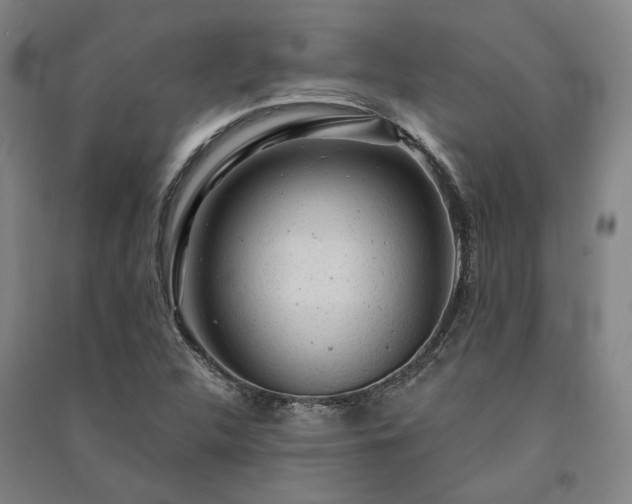 X0000091351312200708171423