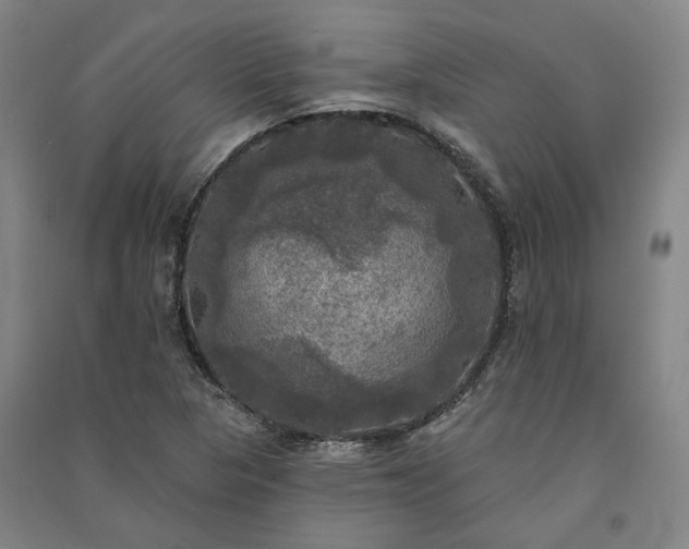 X0000091351313200708171423