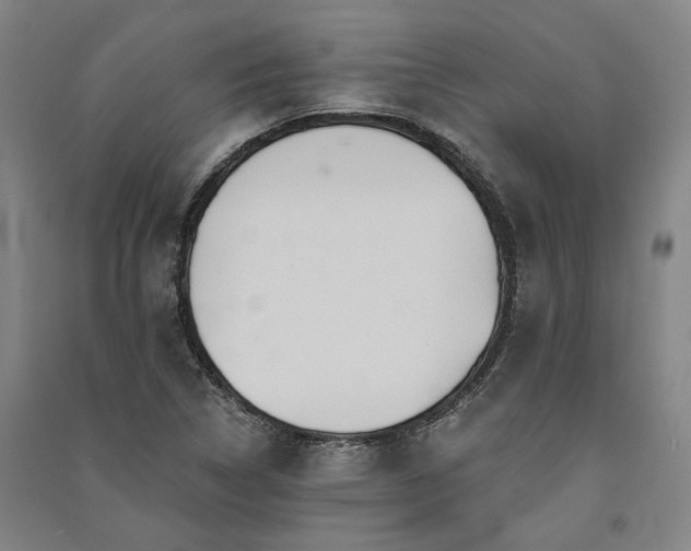 X0000091351314200708171423