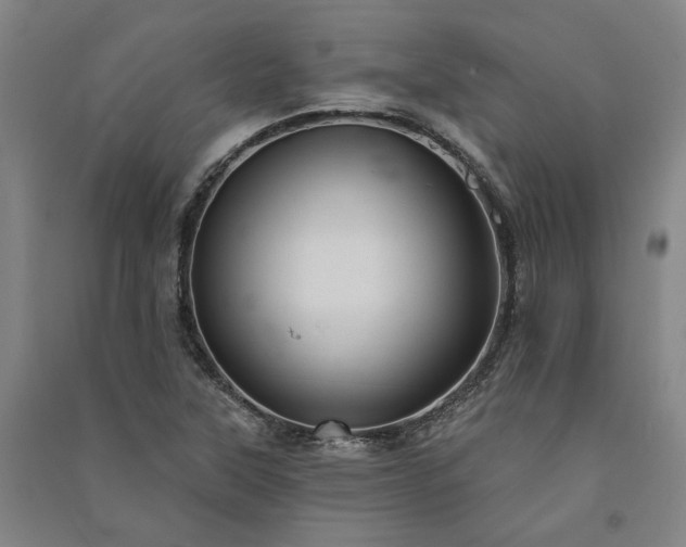 X0000091351315200708171423