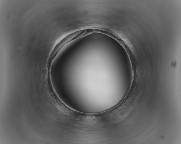 X0000091351316200708171423