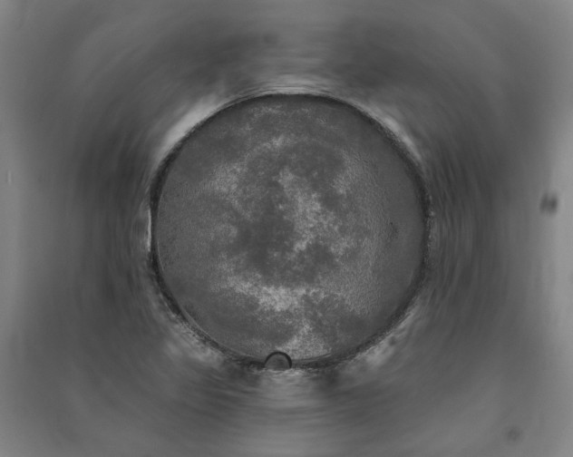 X0000091351317200708171423