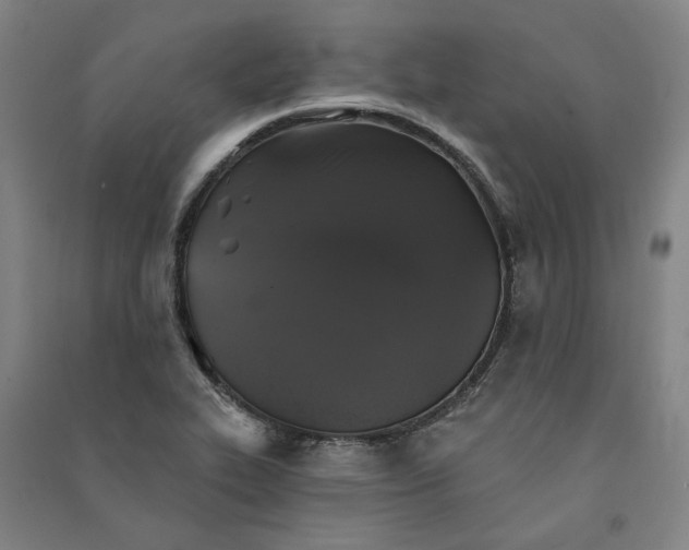 X0000091351319200708171423