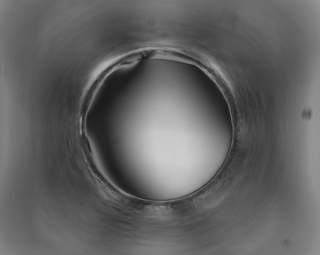 X0000091351320200708171423