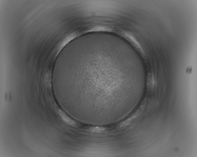 X0000091351321200708171423
