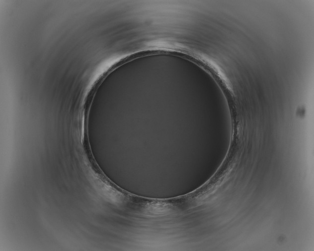 X0000091351323200708171423