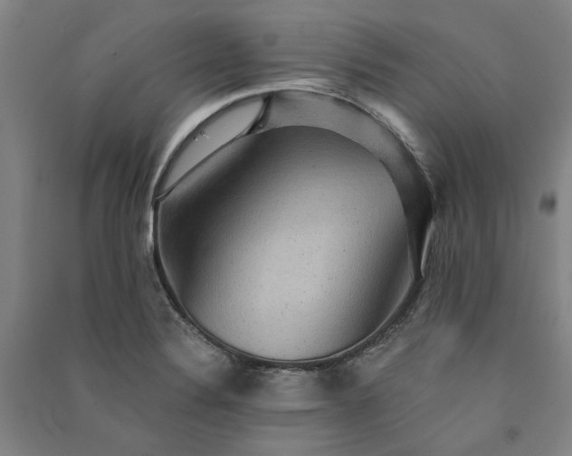 X0000091351324200708171423