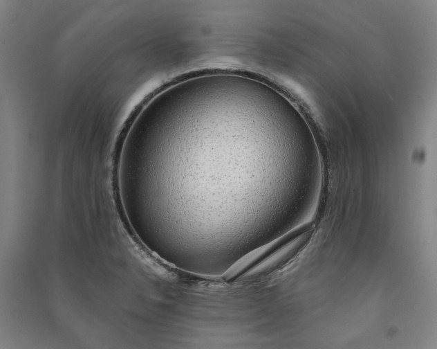 X0000091351326200708171423