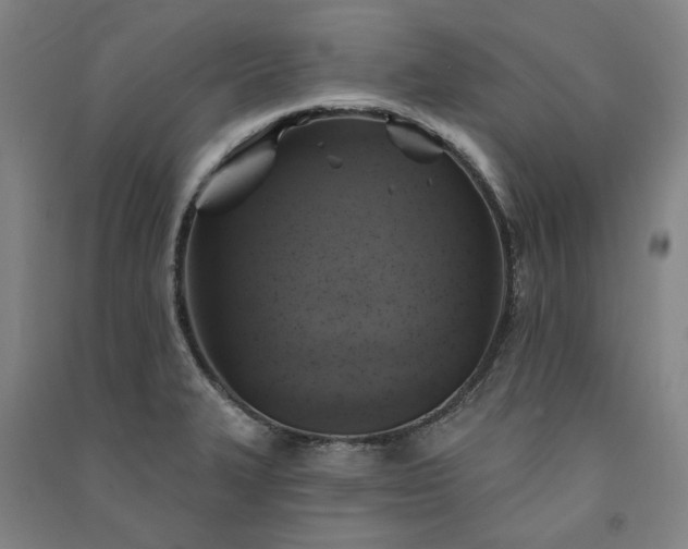 X0000091351327200708171423