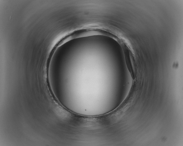 X0000091351328200708171423