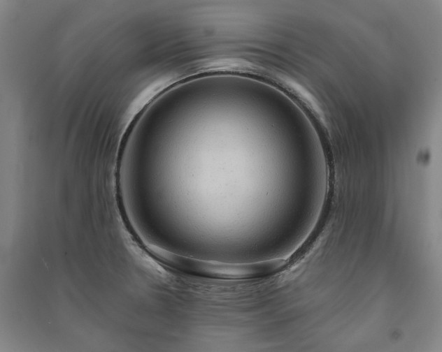 X0000091351330200708171423