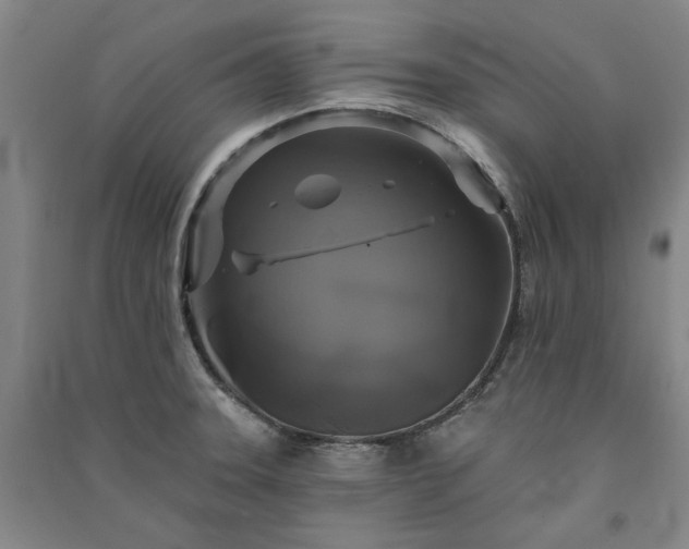 X0000091351331200708171423