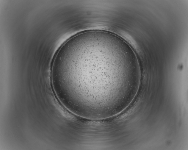 X0000091351332200708171423