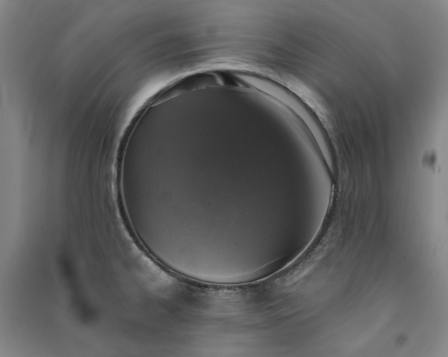 X0000091351334200708171423