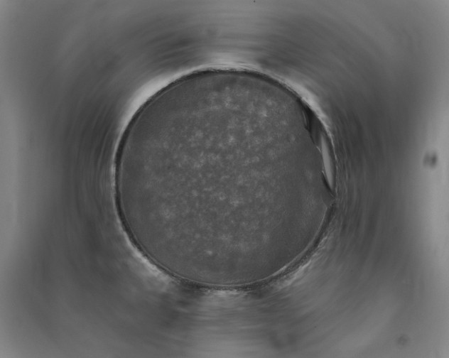 X0000091351335200708171423